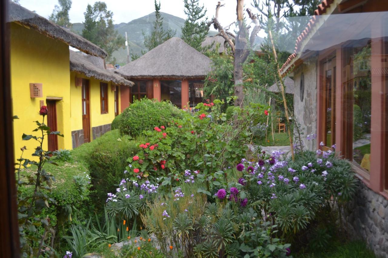 Miskiwasi Bed & Breakfast Yanque Eksteriør billede